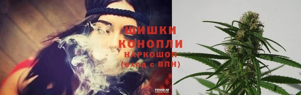 spice Баксан