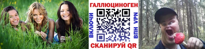 ссылка на мегу рабочий сайт  Суровикино  Псилоцибиновые грибы Cubensis  даркнет сайт 