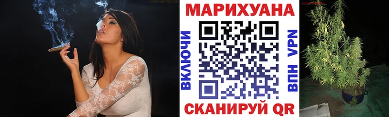 hydra ссылки  Суровикино  Бошки марихуана план  наркошоп 